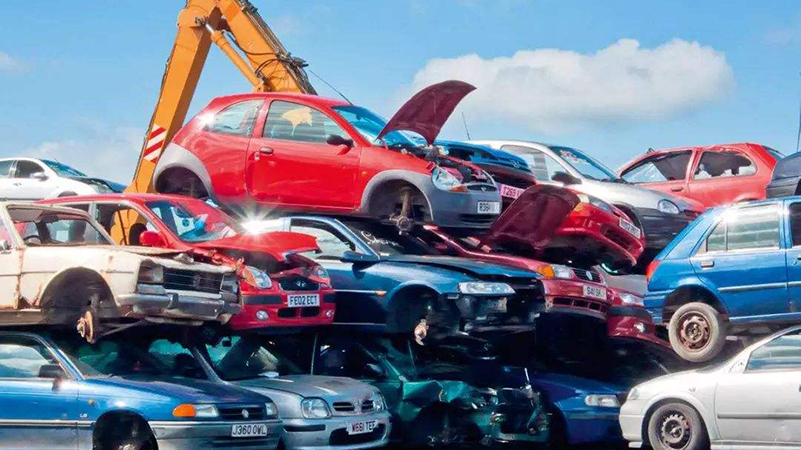 1735031346159585.jpeg cf7f0f438da7440c82a32a8bd271d7a5.jpeg